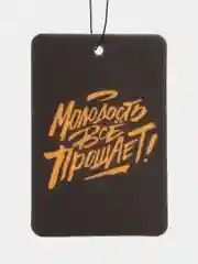 Хаки ароматизатор воздуха для авто картонный. Вонючка в машину. Хасбик. Мияги