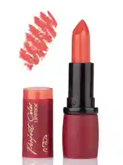 Шоколадный губная помада Perfect Color Matte
