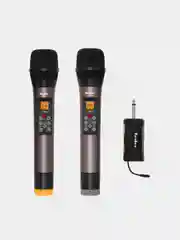 Система беспроводных микрофонов TESLER WMS-740