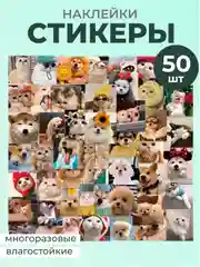 Бронзовый наклейки-стикеры котики мемы, 50 штук. Стикерпак с котиками и собачками, скрапбукинг. Таро