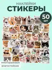Зеленый наклейки-стикеры котики мемы, 50 штук. Стикерпак с котиками и собачками, скрапбукинг. Таро