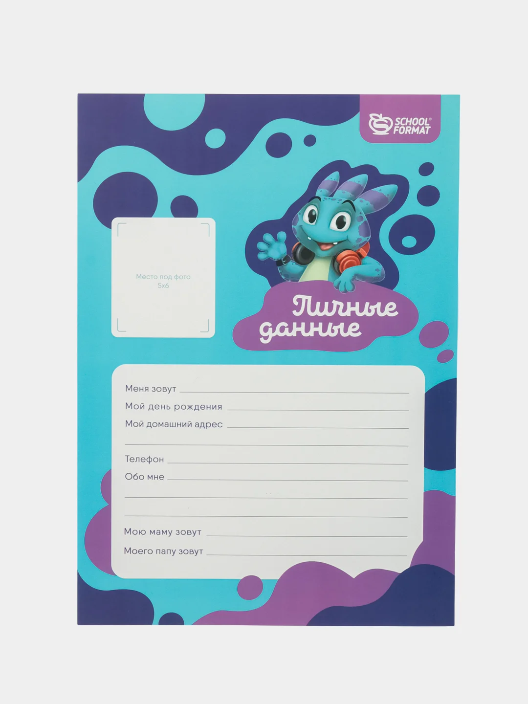 Листы-вкладыши для портфолио ученика  Schoolformat А4, 10 листов