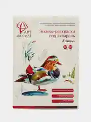 Раскраска-эскиз ПТИЦЫ 10 листов А4 акварельная бумага