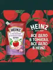 Кетчуп с чесноком и пряностями HEINZ, 320 г