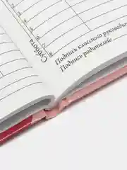 Фуксия школьный дневник для 5-11 класса, А5, 48 листов