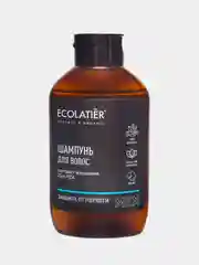 Мужской шампунь ECOLATIER "Защита от перхоти", 400 мл