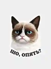 Наклейка недовольный кот шо опять