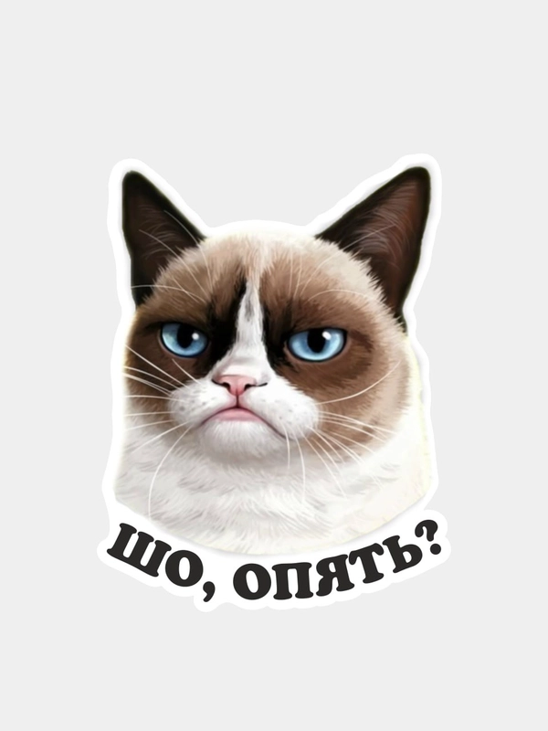 Наклейка недовольный кот шо опять