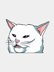 Наклейка на авто мото злой кот мем голова кота