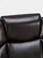 Кресло офисное BRABIX PREMIUM Favorite EX-577, пружинный блок, рециклир. кожа, 531936