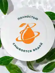 SANITA средство для мытья посуды, Мандарин и белый чай, 900 г