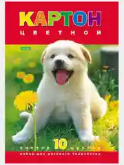 Вишнёвый картон цветной "Волшебный", А4, 10л,10цв. матовый,мелованный в папке/Хатбер, Апплика
