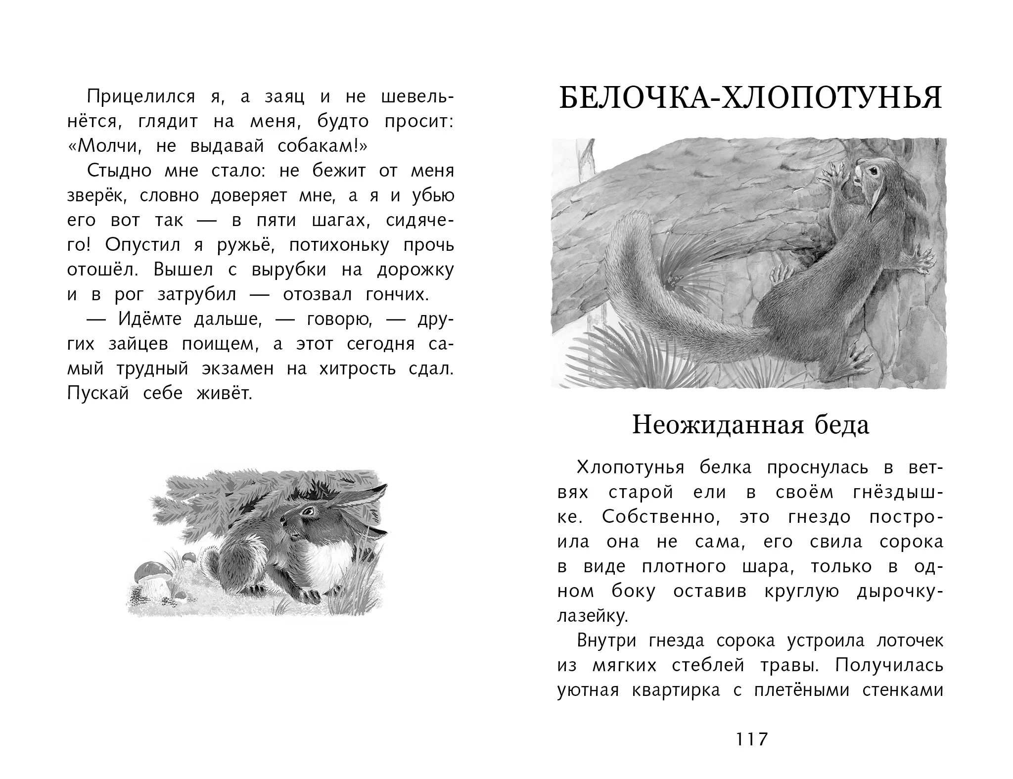 Лесное эхо Г. Скребицкого. Школьная программа
