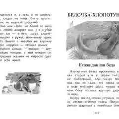 Лесное эхо Г. Скребицкого. Школьная программа