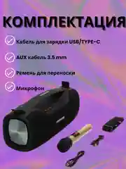 Черный портативная колонка Hopestar A6Pro, 55W с микрофоном