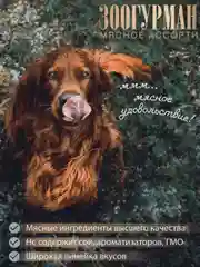 Влажный корм для собак ЗООГУРМАН Говядина отборная, 300г