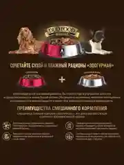 Влажный корм для собак ЗООГУРМАН Говядина отборная, 300г