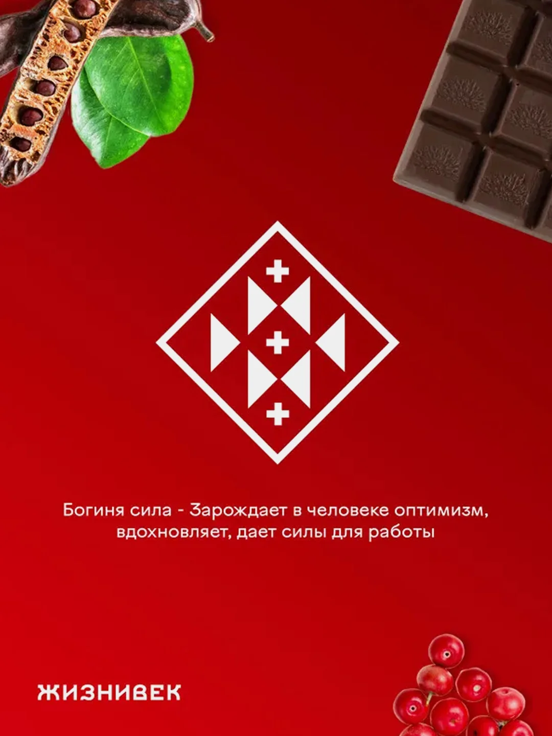 Кондитерское изделие Жизнивек "Шоколад Из Кэроба" с сублимированной брусникой, 75 г