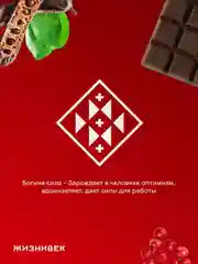 Кондитерское изделие Жизнивек "Шоколад Из Кэроба" с сублимированной брусникой, 75 г