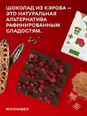 Кондитерское изделие Жизнивек "Шоколад Из Кэроба" с сублимированной брусникой, 75 г