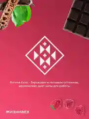 Кондитерское изделие Жизнивек "Шоколад Из Кэроба", с сублимированной малиной, 75 г