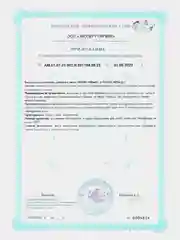 БАД к пище Жизнивек "Метилфолат", 400 Мкг, 60 капсул