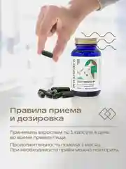 БАД к пище Жизнивек "Дегликан Р", 60 капсул