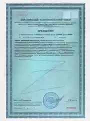 БАД к пище Жизнивек "Lysin Mega Caps", 60 капсул