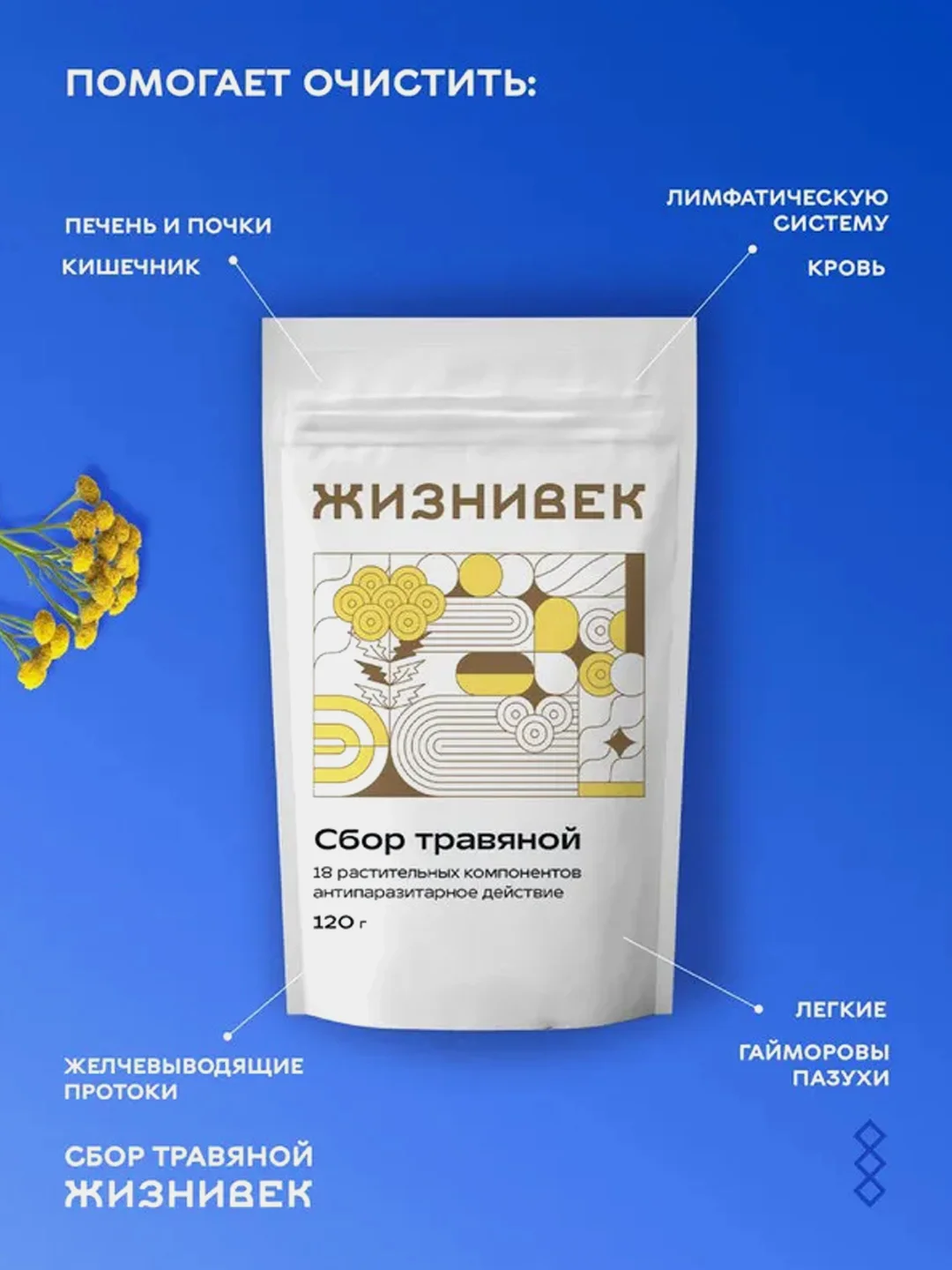 Травяной очищающий сбор Жизнивек, порошок, 120 г