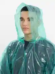 Зеленый дождевик