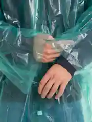 Зеленый дождевик