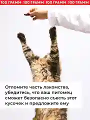 Лакомство для собак / Говяжье легкое, 100 грамм