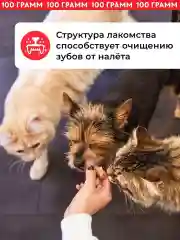 Лакомство для собак / Говяжье легкое, 100 грамм