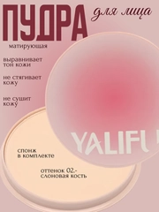 Пудра для лица, матирующая, компактная, со спонжем, 12 г