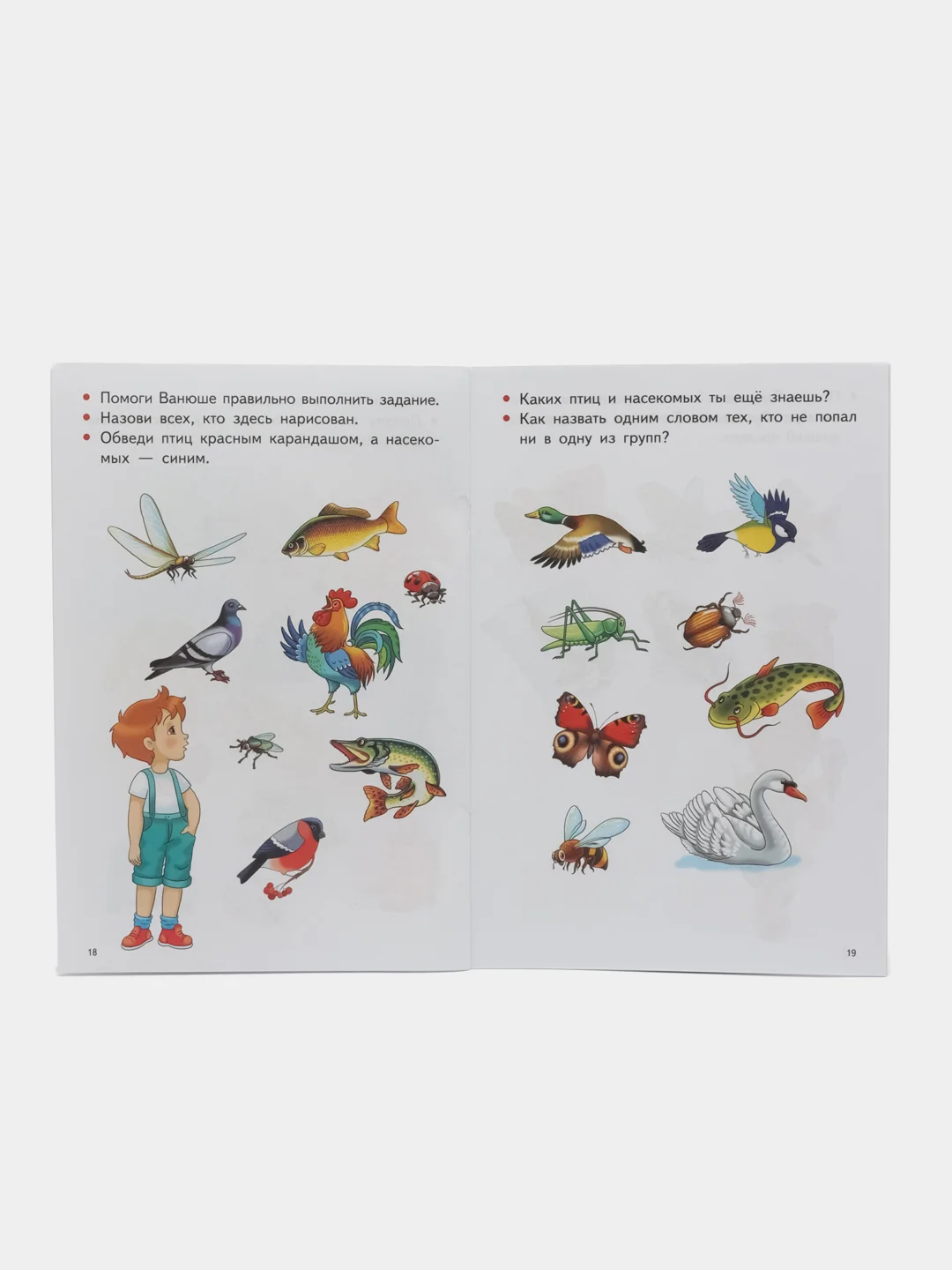 Изучаем окружающий мир для детей 3-4 лет. Е. Бортникова. Цветная рабочая тетрадь