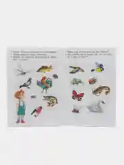 Изучаем окружающий мир для детей 3-4 лет. Е. Бортникова. Цветная рабочая тетрадь