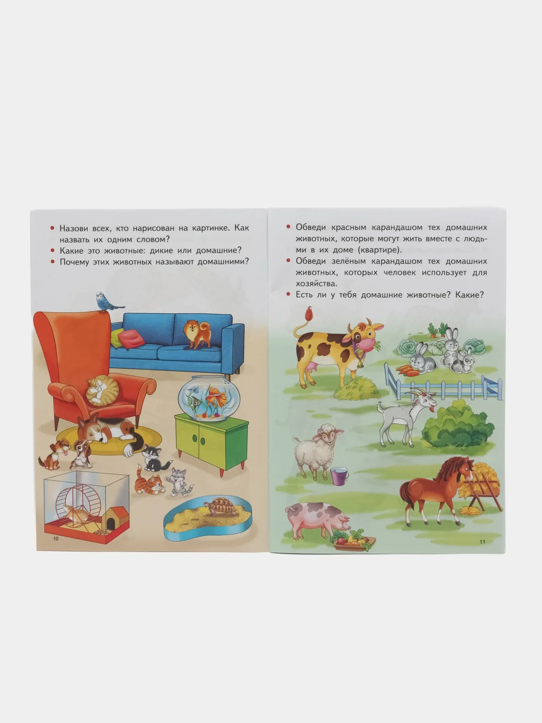 Изучаем окружающий мир для детей 3-4 лет. Е. Бортникова. Цветная рабочая тетрадь