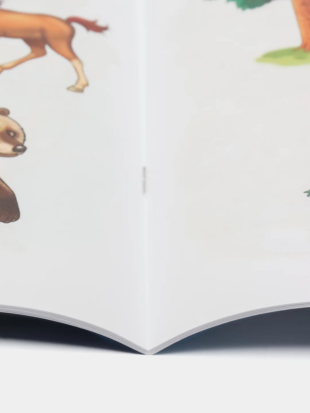 Изучаем окружающий мир для детей 4-5 лет. Е. Бортникова. Цветная рабочая тетрадь