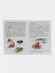 Изучаем окружающий мир для детей 5-6 лет. Е. Бортникова. Цветная рабочая тетрадь