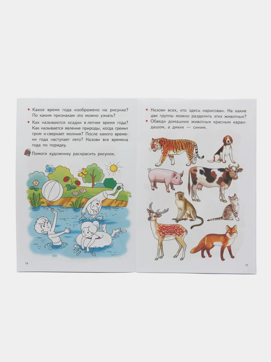 Изучаем окружающий мир для детей 4-5 лет. Е. Бортникова. Цветная рабочая тетрадь