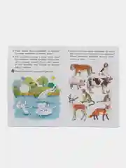 Изучаем окружающий мир для детей 4-5 лет. Е. Бортникова. Цветная рабочая тетрадь