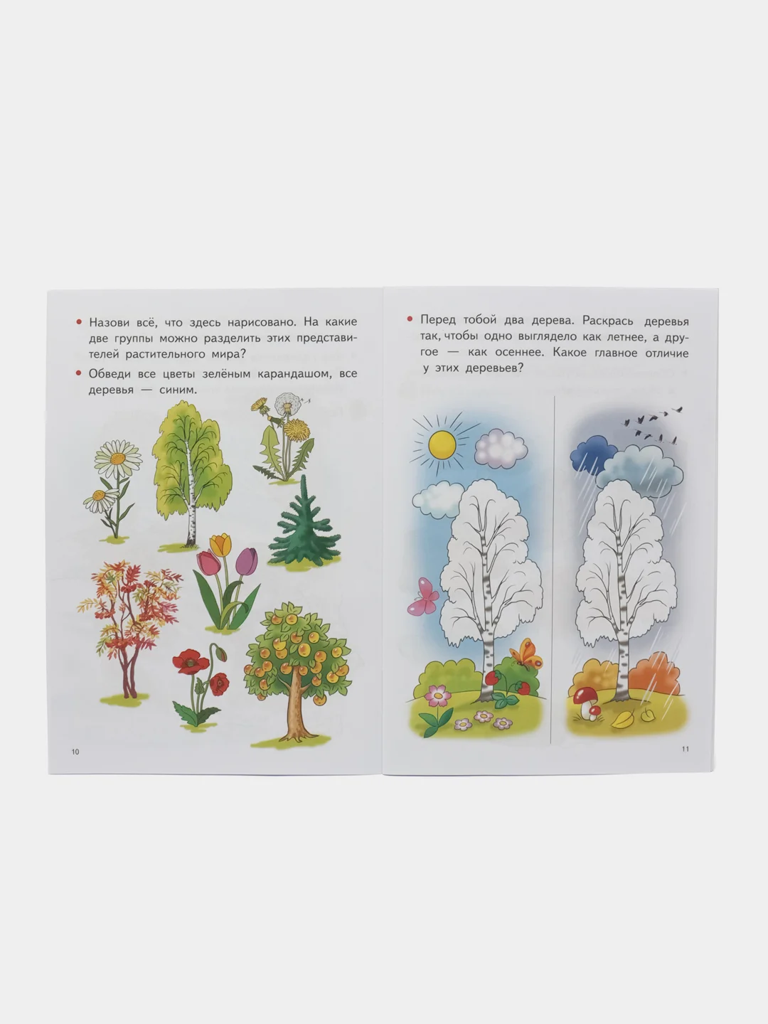 Изучаем окружающий мир для детей 4-5 лет. Е. Бортникова. Цветная рабочая тетрадь