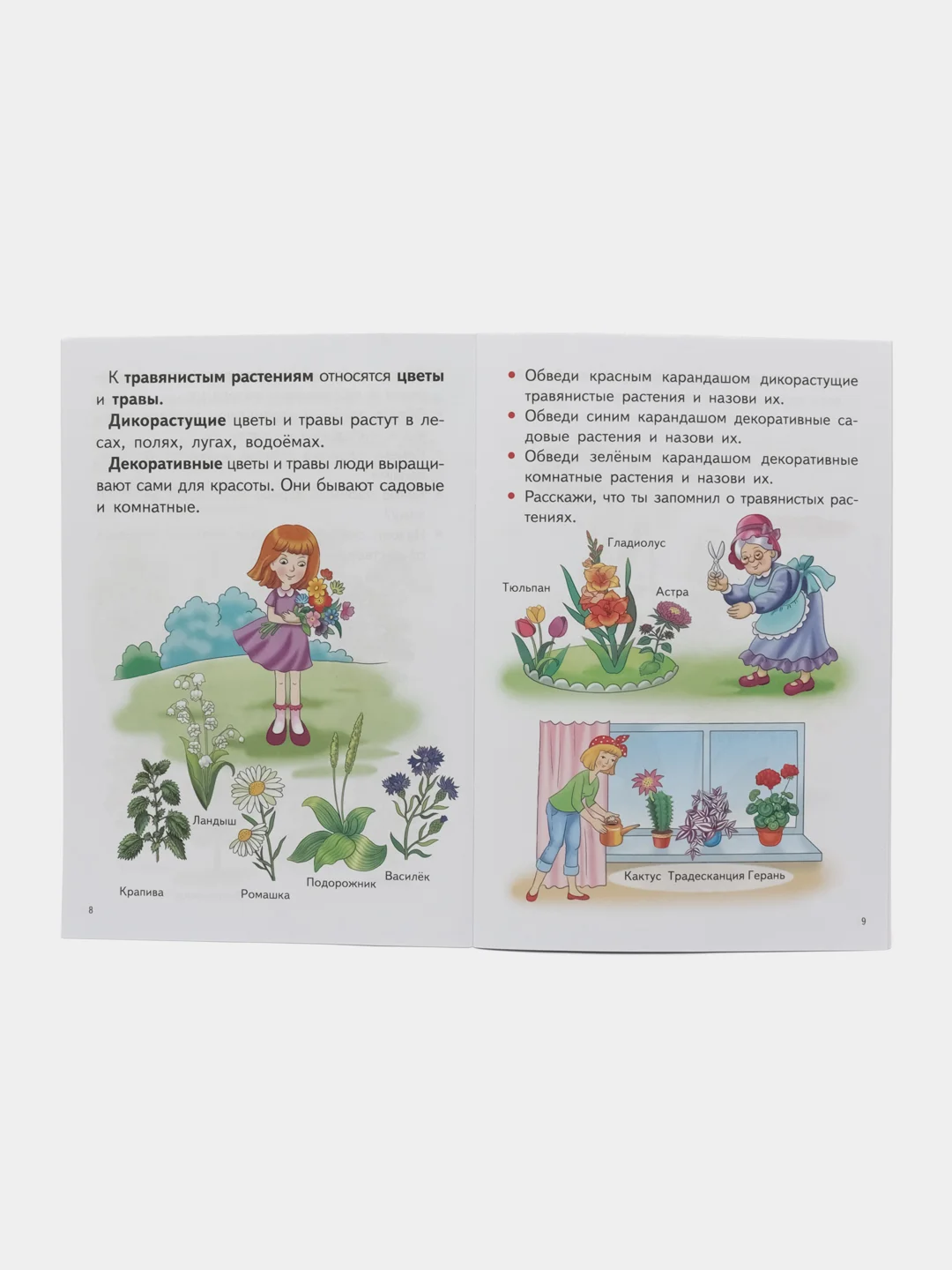 Изучаем окружающий мир для детей 5-6 лет. Е. Бортникова. Цветная рабочая тетрадь