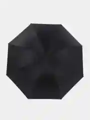 Зонт черный