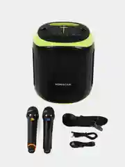 Черный портативная Bluetooth колонка HOPESTAR Party 130 c двумя микрофонами и RGB подсветкой