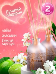 Диффузор для дома с палочками, 40 мл 2 шт