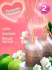 Диффузор для дома с палочками, 40 мл 2 шт