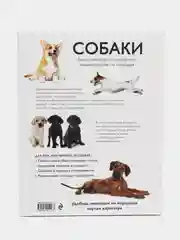 Все породы собак. Большая иллюстрированная энциклопедия, Алина Ярощук, Людмила Романова