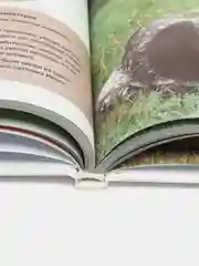 Все породы собак. Большая иллюстрированная энциклопедия, Алина Ярощук, Людмила Романова