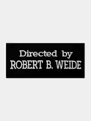 Черный нашивка шеврон на одежду Directed by Robert B. Weide, на липучке